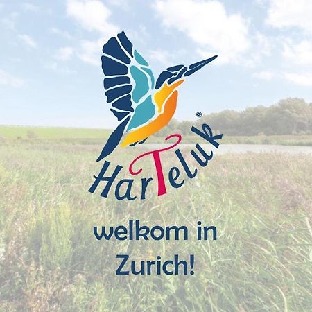 Hotel Harteluk Afsluitdijk Zurich Zewnętrze zdjęcie